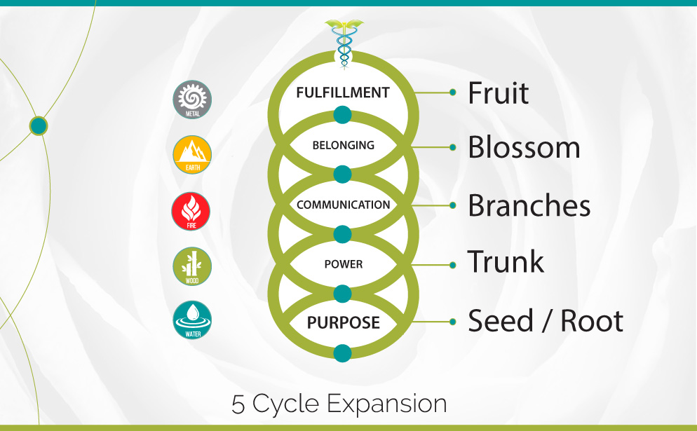 5 Cycle Expansion™