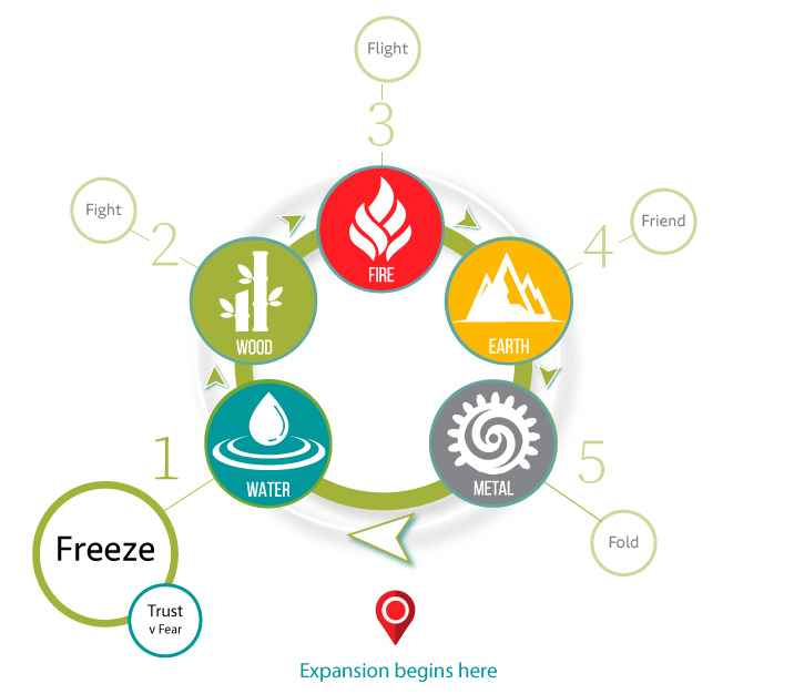 Moving With Trust Again