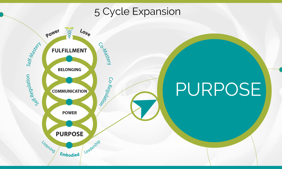 5 Cycle Expansion™ Purpose